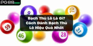 https://vrdnss.com/wp-content/uploads/2024/11/bach-thu-lo.jpg