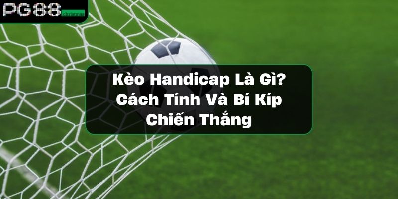 https://vrdnss.com/wp-content/uploads/2024/11/keo-handicap-la-gi.jpg